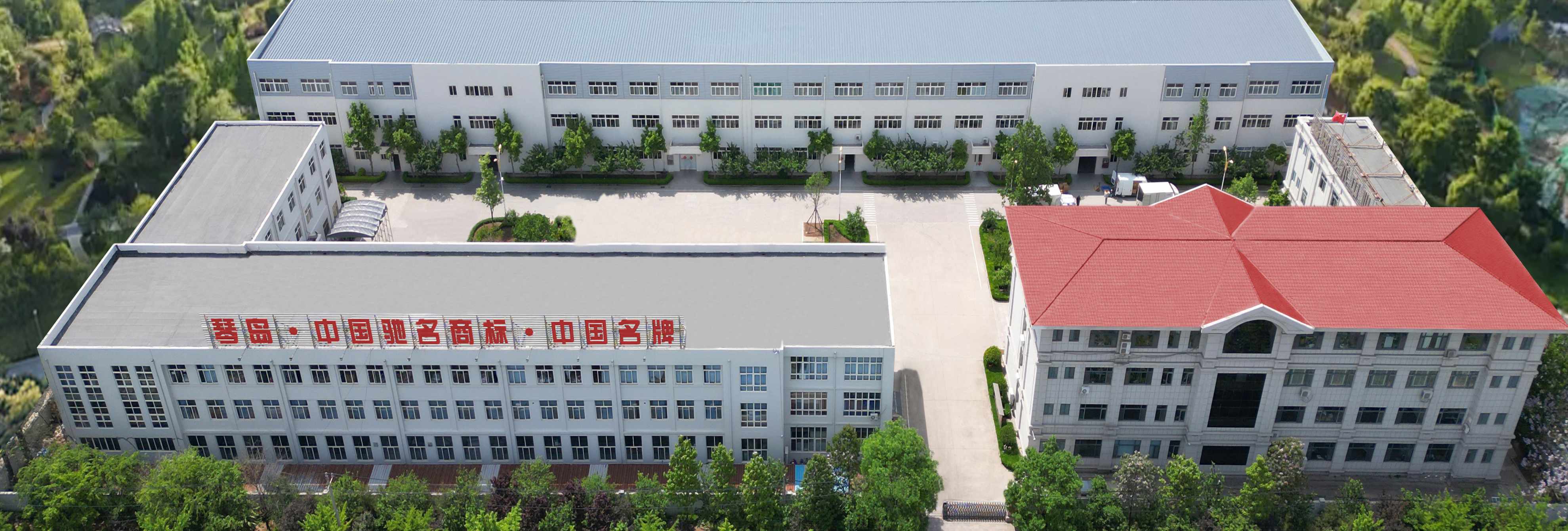 公司介绍